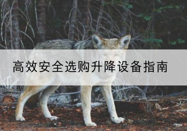 五原升降货梯厂家推荐-*安全选购升降设备指南