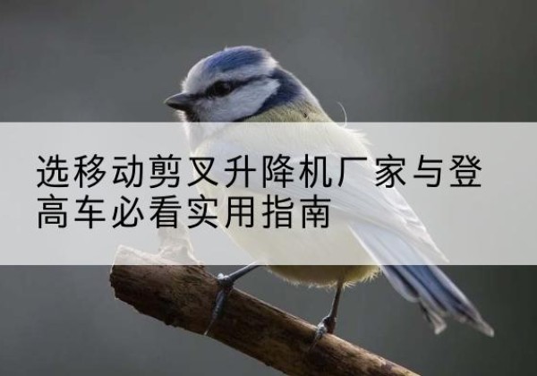 五原电动升降机厂家-选移动剪叉升降机厂家与登高车必看实用指南